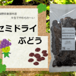 rakuten500.1920-min-150x150.png