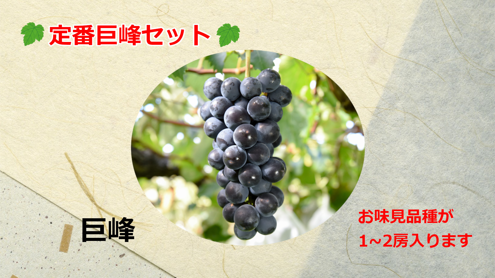 定番巨峰セット